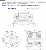 CKZ-C楔块式单向离合器