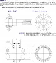 LCKX楔块式单向离合器